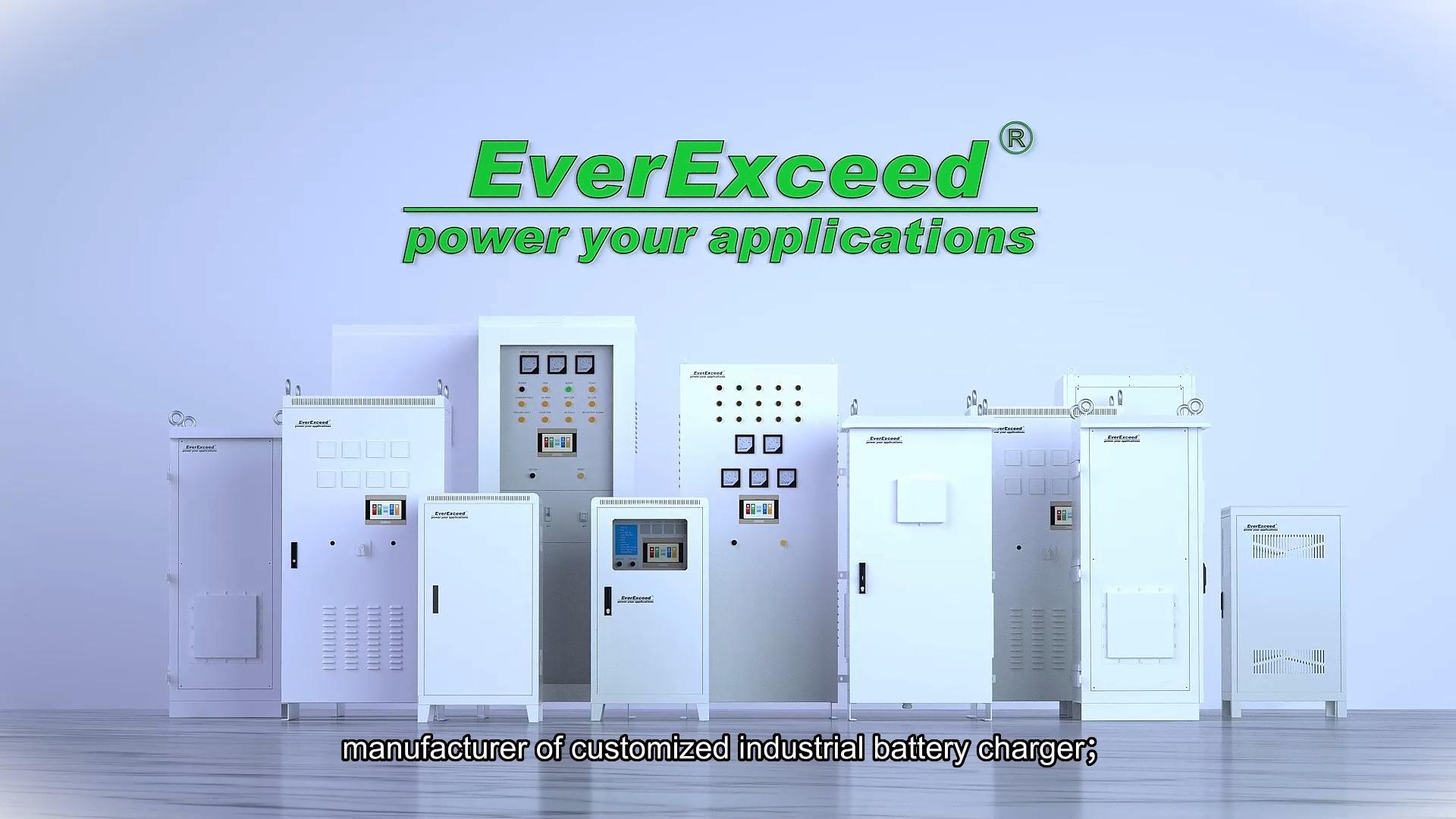 Промышленное зарядное устройство EverExceed-Все