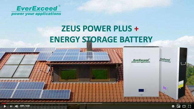 Настенная литиевая батарея EverExceed Zeus Power Plus +